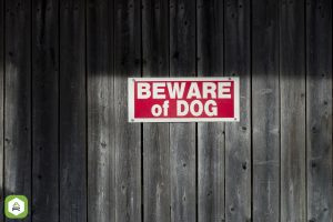beware of dog gate sign